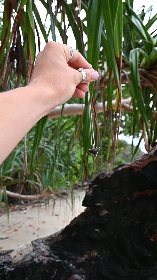 Shark Tooth Relic